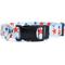 Show in main carousel: Country Brook Petz Personalized American Celebration Dog Collar, Medium: 13 to 16-in neck, 1-in wide slide 6 of 7