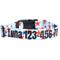 Show in main carousel: Country Brook Petz Personalized American Celebration Dog Collar, Medium: 13 to 16-in neck, 1-in wide slide 1 of 7