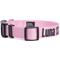 Show in main carousel: Country Brook Petz Personalized Dog Collar, Pink, Medium: 13 to 16-in neck, 1-in wide slide 6 of 6