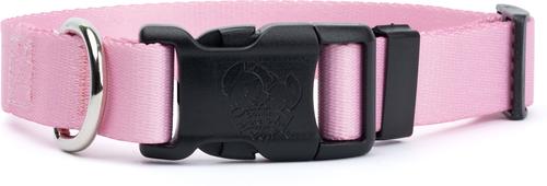Show full view: Country Brook Petz Personalized Dog Collar, Pink, Medium: 13 to 16-in neck, 1-in wide slide 5 of 6