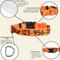 Show in main carousel: Country Brook Petz Personalized Dog Collar, Orange, Medium: 13 to 16-in neck, 1-in wide slide 6 of 9