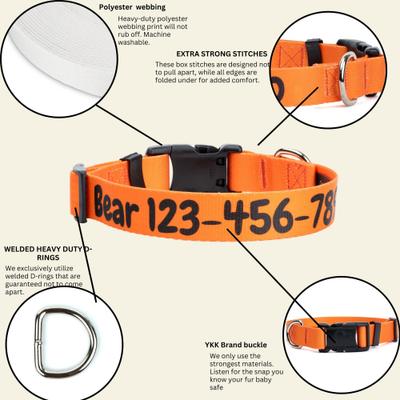 Show full view: Country Brook Petz Personalized Dog Collar, Orange, Medium: 13 to 16-in neck, 1-in wide slide 6 of 9