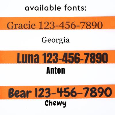 Show full view: Country Brook Petz Personalized Dog Collar, Orange, Medium: 13 to 16-in neck, 1-in wide slide 3 of 9