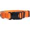 Show in main carousel: Country Brook Petz Personalized Dog Collar, Orange, Medium: 13 to 16-in neck, 1-in wide slide 2 of 9