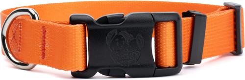 Show full view: Country Brook Petz Personalized Dog Collar, Orange, Medium: 13 to 16-in neck, 1-in wide slide 2 of 9