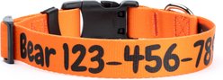 Country Brook Petz Personalized Dog Collar, Orange, Medium: 13 to 16-in neck, 1-in wide