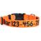 Show in main carousel: Country Brook Petz Personalized Dog Collar, Orange, Medium: 13 to 16-in neck, 1-in wide slide 1 of 9