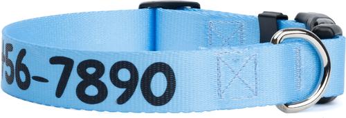 Show full view: Country Brook Petz Personalized Dog Collar, Blue, Small: 11 to 13-in neck, 3/4-in wide slide 4 of 6