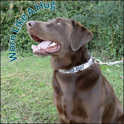 Show full view: Country Brook Petz Personalized Mountain Viper Camo Dog Collar, Medium: 13 to 16-in neck, 1-in wide slide 8 of 9