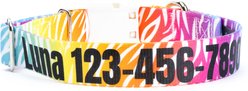 Country Brook Petz Personalized Fashion Zebra Dog Collar, Large: 16 to 26-in neck, 1-in wide
