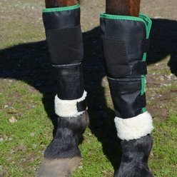 Click Horse Knee Shields, Black