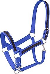 Tough1 Premium Nylon Hoese Draft Halter with Overlay, Royal Blue