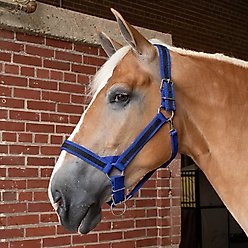 Tough1 Premium Nylon Horse Draft Halter with Overlay, Royal Blue slide 2 of 2