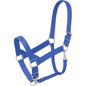 Tough1 Nylon Horse Draft Halter, Royal Blue