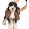 Show in main carousel: Dog Gone Smart Dirty Dog Microfiber Shammy Towel, Brown, 38 x 16-in slide 4 of 5