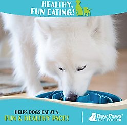 Raw Paws Slow Feeder Dog Bowl, 1.5-cup slide 2 of 6
