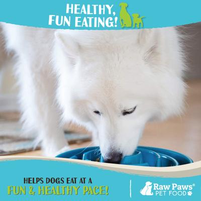 Show full view: Raw Paws Slow Feeder Dog Bowl, 1.5-cup slide 5 of 7