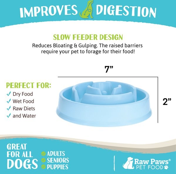 Raw Paws Slow Feeder Dog Bowl, 1.5-cup