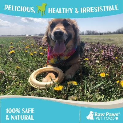 Show full view: Raw Paws Compressed Rawhide Rings for Dogs, 6-in, 5 count slide 6 of 8