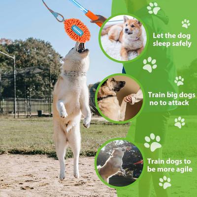 Show full view: allforpaws Wow Play Flirt Pole Tug Dog Toy slide 3 of 8