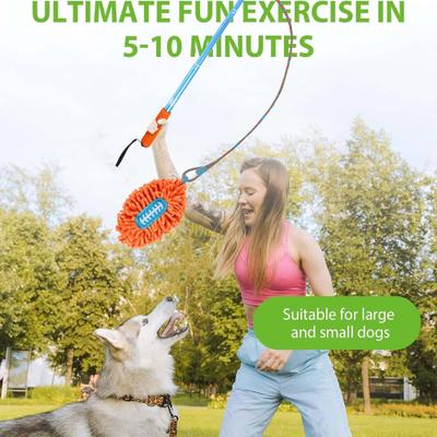 Show full view: allforpaws Wow Play Flirt Pole Tug Dog Toy slide 5 of 8