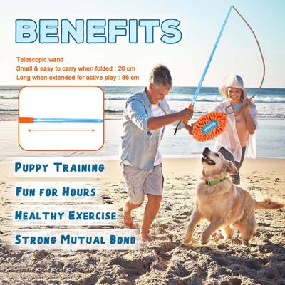 Show full view: allforpaws Wow Play Flirt Pole Tug Dog Toy slide 2 of 8