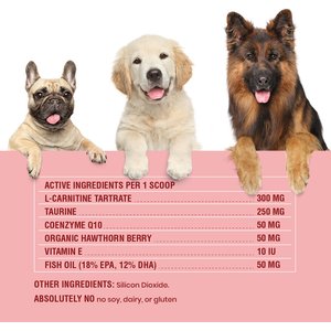 Special Breed Cardio Support Powder Heart Supplement for Dogs, 3.14-oz jar