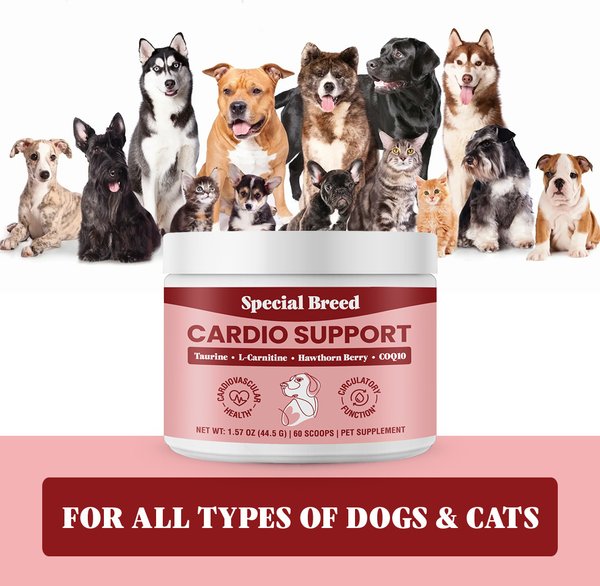 Special Breed Cardio Support Powder Heart Supplement for Dogs