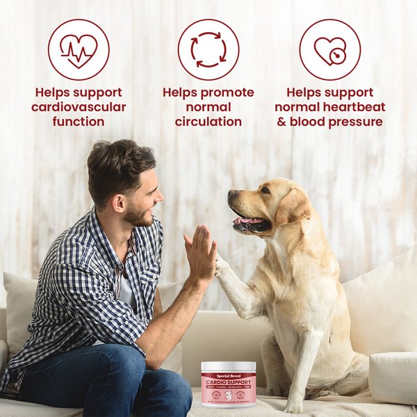 Special Breed Cardio Support Powder Heart Supplement for Dogs