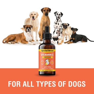 Show full view: Special Breed Vitamin C Bacon Flavored Liquid Immune Supplement for Dogs, 2-fl oz bottle slide 4 of 7