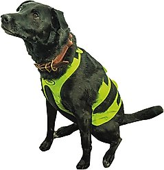 Mud River Upland Dog Chest Guard, Green, Small
