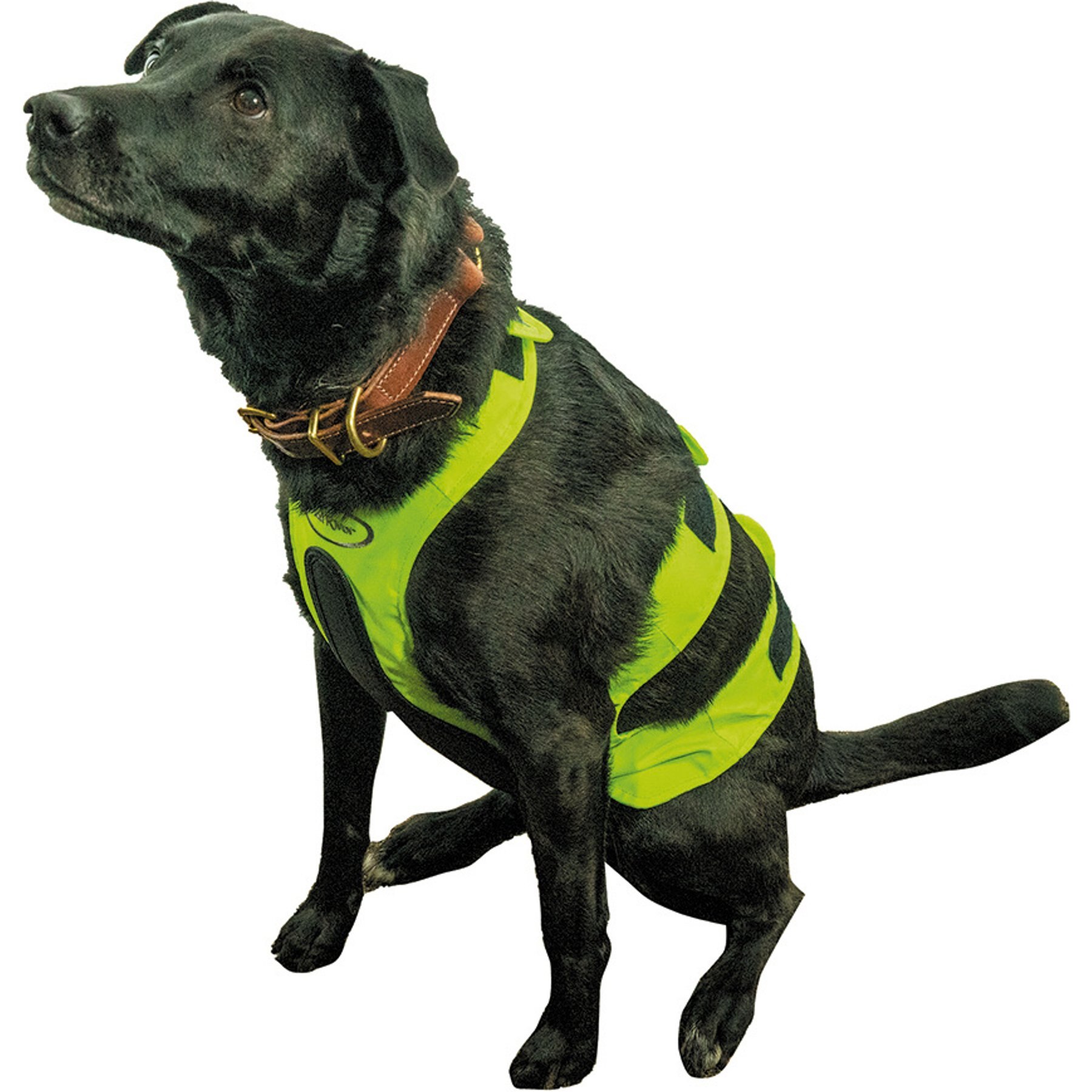 Mud River Upland Dog Chest Guard, Green, Small
