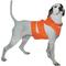 Show in main carousel: Mud River Upland Dog Chest Guard, Orange, Medium slide 1 of 2