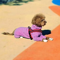 Pebot Gumdrop Dog & Cat Fleece Onesie, Size 10 slide 2 of 7