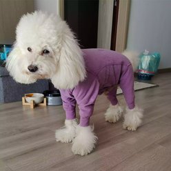 Pebot Gumdrop Dog & Cat Fleece Onesie, Size 14 slide 2 of 7