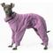 Show in main carousel: Pebot Gumdrop Dog & Cat Fleece Onesie, Size 14 slide 1 of 8