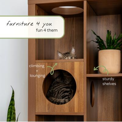 Show full view: 4 Cats & Dogs Cliff Jr. Cat Wall Shelves, Walnut slide 5 of 7
