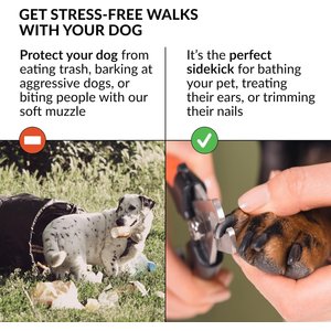 CollarDirect Tribal Pattern 3 Nylon Dog Muzzle, Blue, Medium/Large