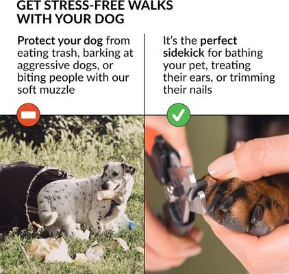 Show full view: CollarDirect Tribal Pattern Nylon Dog Muzzle, Blue, Medium/Large slide 5 of 5