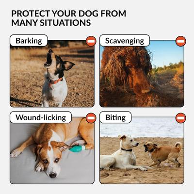 Show full view: CollarDirect Soft Mesh Dog Muzzle, Black, Medium slide 3 of 6