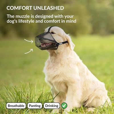 Show full view: CollarDirect Soft Mesh Dog Muzzle, Black, Medium slide 4 of 6