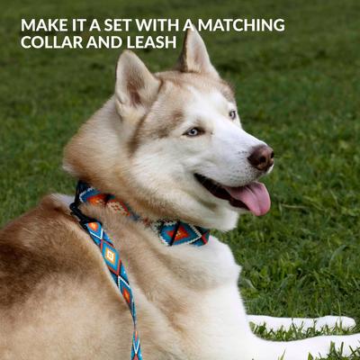 Show full view: CollarDirect Tribal Pattern Nylon Dog Muzzle, Blue, Medium/Large slide 4 of 5