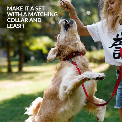 Show full view: CollarDirect Nylon Dog Muzzle, Red, X-Small/Small slide 6 of 6