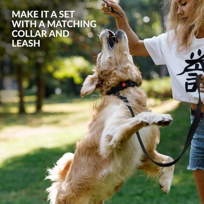 Show full view: CollarDirect Nylon Dog Muzzle, Black, Large/X-Large slide 5 of 5