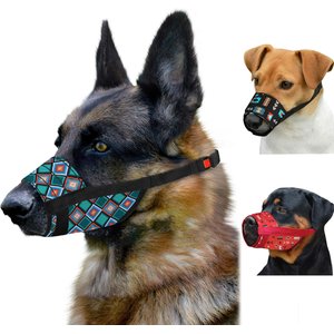 CollarDirect Aztec Pattern Nylon Dog Muzzle, Blue, Medium/Large