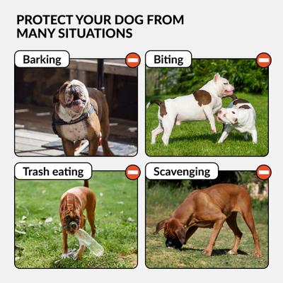 Show full view: CollarDirect Bulldog Leather Dog Muzzle, Brown slide 4 of 6