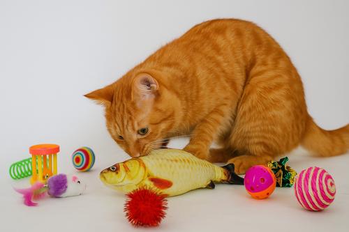 Show full view: Pet Fit For Life Multi Pack Cat Toy, 20 count slide 6 of 7