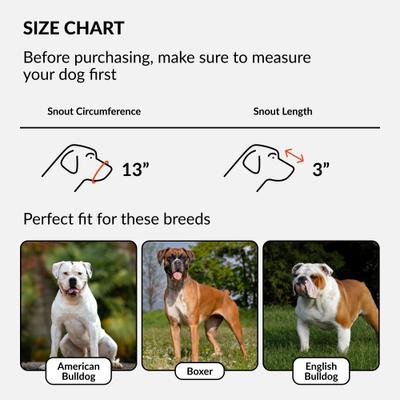 Show full view: CollarDirect Bulldog Leather Dog Muzzle, Brown slide 2 of 6