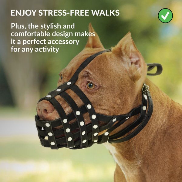 CollarDirect Pitbull Leather Strap Dog Muzzle