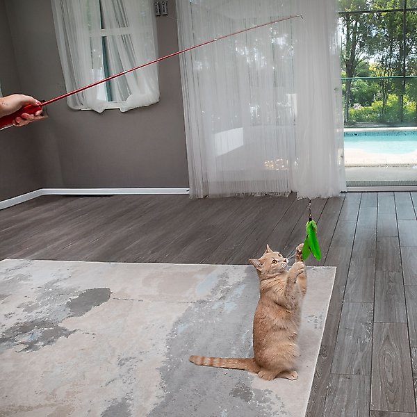 Show full view: Pet Fit For Life Cat Wands Toy, Medium slide 6 of 9